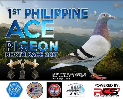 arpci pigeon club|ANTIPOLO RACING PIGEON CLUB Inc. (ARPCi) .